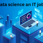 Is data science an IT job?