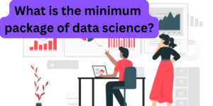 Read more about the article What is the minimum package of data science?