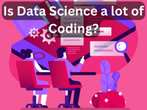 Read more about the article Is Data Science a lot of Coding?